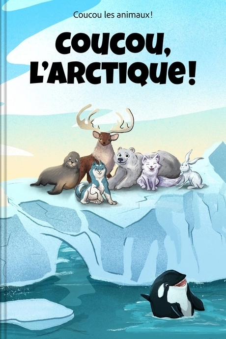Aucune Image Disponible