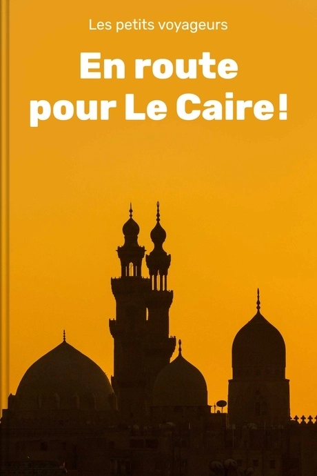 Aucune Image Disponible